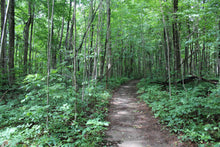 Load image into Gallery viewer, Minto Trails