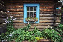 Load image into Gallery viewer, Log Cabin