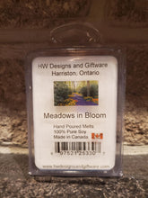 Load image into Gallery viewer, Meadows in Bloom
