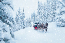 Load image into Gallery viewer, Village Sleighride