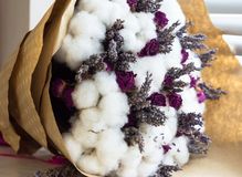 Load image into Gallery viewer, Cotton & Rose
