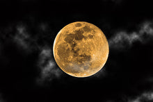 Load image into Gallery viewer, Harvest Moon