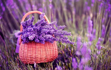 Load image into Gallery viewer, Lavender and Lilac