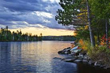 Load image into Gallery viewer, The Shoreline