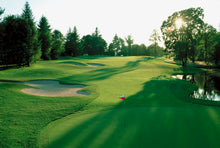 Load image into Gallery viewer, The Fairway