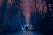 Load image into Gallery viewer, Twilight Woods