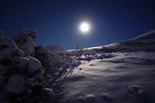 Load image into Gallery viewer, Moonlit Snowshoe
