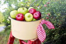 Load image into Gallery viewer, Apple Orchard
