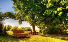 Load image into Gallery viewer, Summer Days
