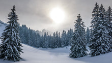 Load image into Gallery viewer, Winter Solstice
