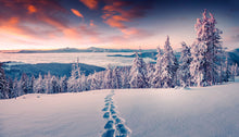 Load image into Gallery viewer, Winter Wonderland
